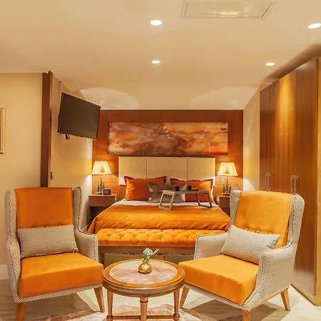 Lord Morgan & Exclusive Design Cihangir Apart-hotel Istambul